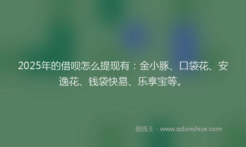 2025年的借呗怎么提现有：金小豚、口袋花、安逸花、钱袋快易、乐享宝等。