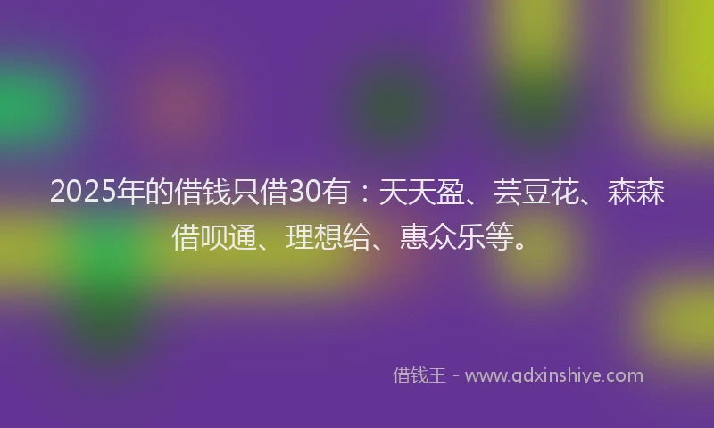 2025年的借钱只借30有：天天盈、芸豆花、森森借呗通、理想给、惠众乐等。