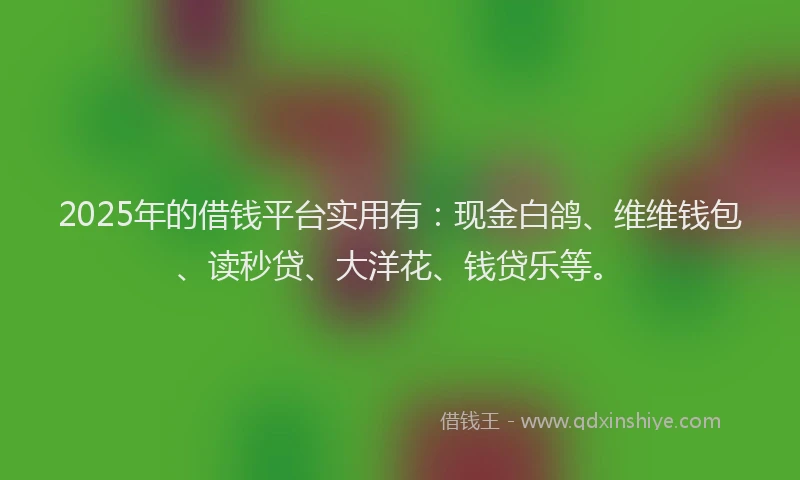 2025年的借钱平台实用有：现金白鸽、维维钱包、读秒贷、大洋花、钱贷乐等。