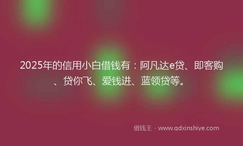 2025年的信用小白借钱有：阿凡达e贷、即客购、贷你飞、爱钱进、蓝领贷等。