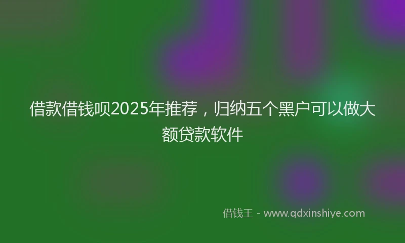 借款借钱呗2025年推荐，归纳五个黑户可以做大额贷款软件