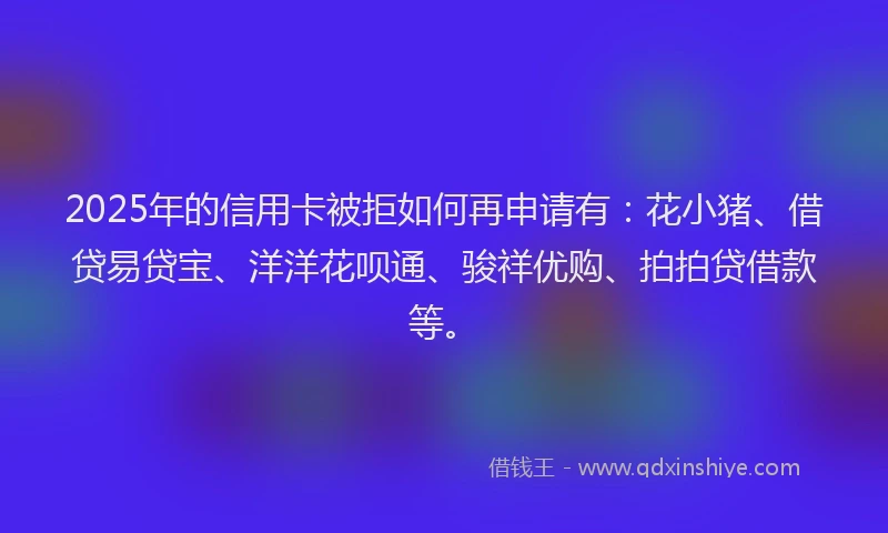 2025年的信用卡被拒如何再申请有：花小猪、借贷易贷宝、洋洋花呗通、骏祥优购、拍拍贷借款等。