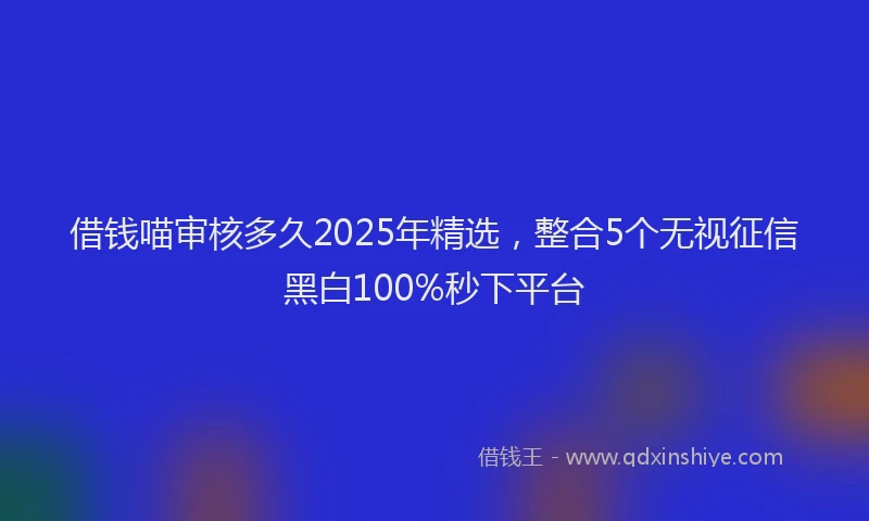 借钱喵审核多久2025年精选，整合5个无视征信黑白100%秒下平台