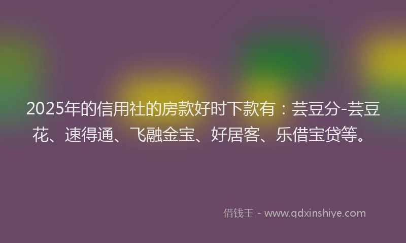 2025年的信用社的房款好时下款有：芸豆分-芸豆花、速得通、飞融金宝、好居客、乐借宝贷等。