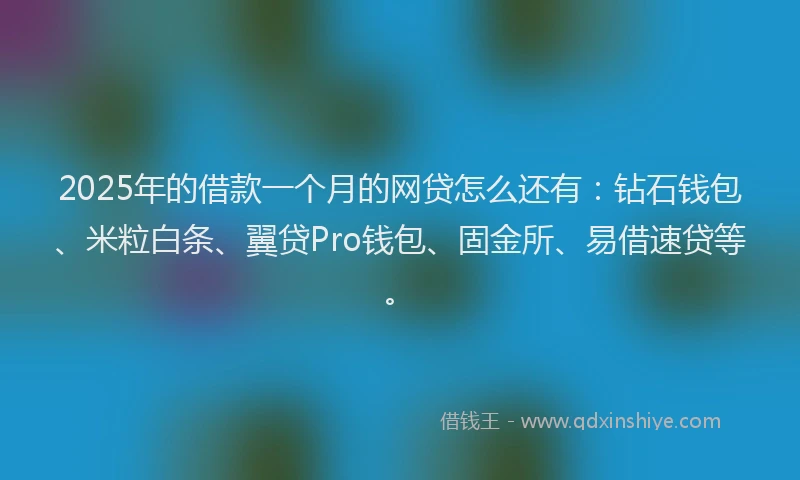 2025年的借款一个月的网贷怎么还有：钻石钱包、米粒白条、翼贷Pro钱包、固金所、易借速贷等。