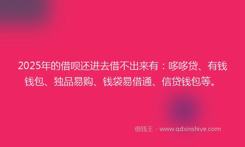 2025年的借呗还进去借不出来有：哆哆贷、有钱钱包、独品易购、钱袋易借通、信贷钱包等。