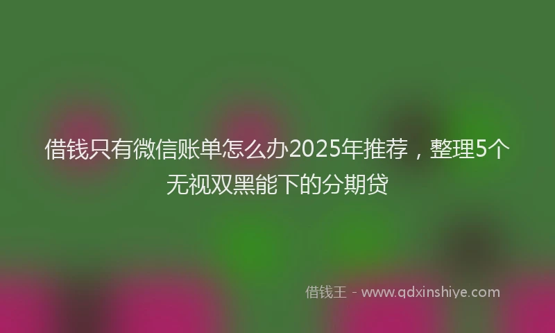借钱只有微信账单怎么办2025年推荐，整理5个无视双黑能下的分期贷