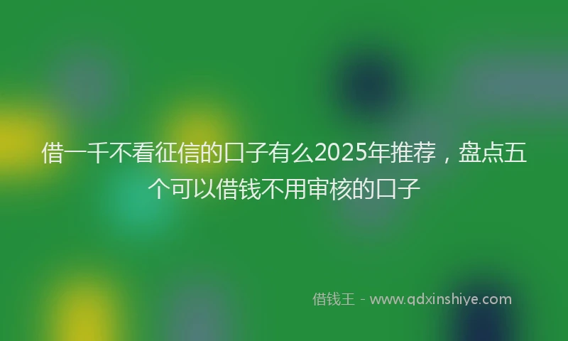 借一千不看征信的口子有么2025年推荐，盘点五个可以借钱不用审核的口子