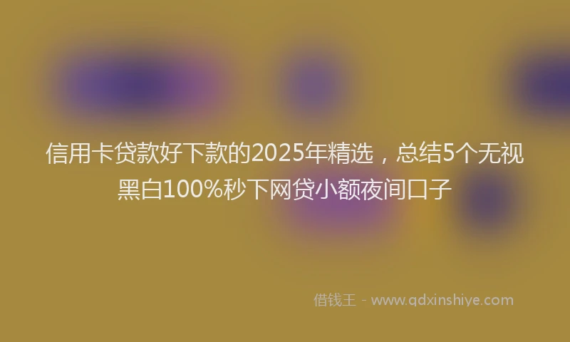 信用卡贷款好下款的2025年精选，总结5个无视黑白100%秒下网贷小额夜间口子