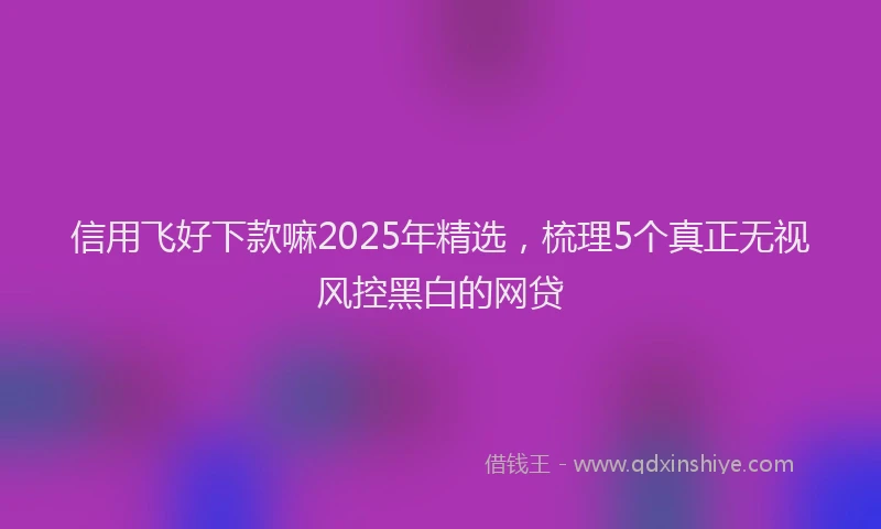 信用飞好下款嘛2025年精选，梳理5个真正无视风控黑白的网贷