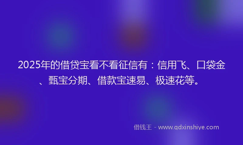 2025年的借贷宝看不看征信有：信用飞、口袋金、甄宝分期、借款宝速易、极速花等。