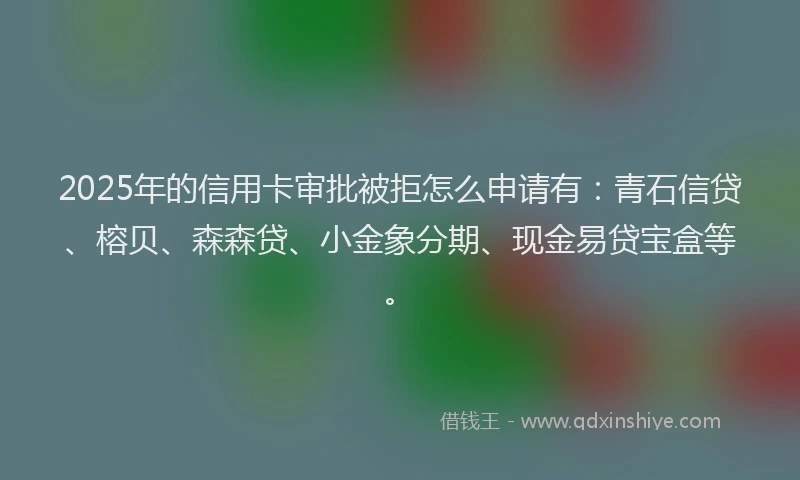 2025年的信用卡审批被拒怎么申请有：青石信贷、榕贝、森森贷、小金象分期、现金易贷宝盒等。