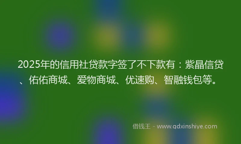 2025年的信用社贷款字签了不下款有：紫晶信贷、佑佑商城、爱物商城、优速购、智融钱包等。