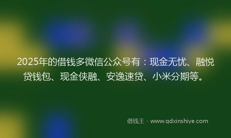 2025年的借钱多微信公众号有：现金无忧、融悦贷钱包、现金侠融、安逸速贷、小米分期等。