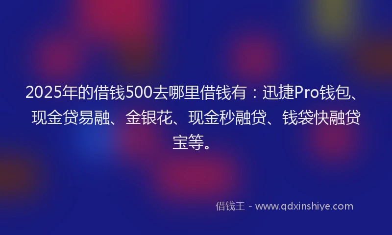 2025年的借钱500去哪里借钱有：迅捷Pro钱包、现金贷易融、金银花、现金秒融贷、钱袋快融贷宝等。