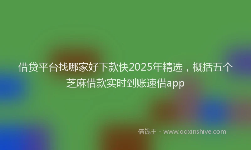 借贷平台找哪家好下款快2025年精选，概括五个芝麻借款实时到账速借app