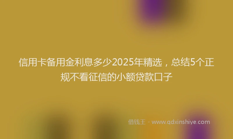 信用卡备用金利息多少2025年精选，总结5个正规不看征信的小额贷款口子
