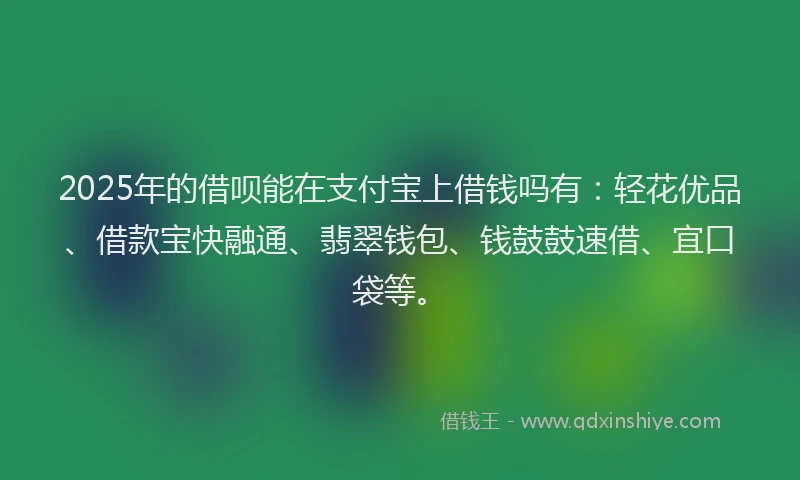2025年的借呗能在支付宝上借钱吗有:轻花优品、借款宝快融通、翡翠钱包、钱鼓鼓速借、宜口袋等。