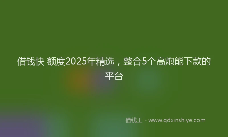 借钱快 额度2025年精选，整合5个高炮能下款的平台