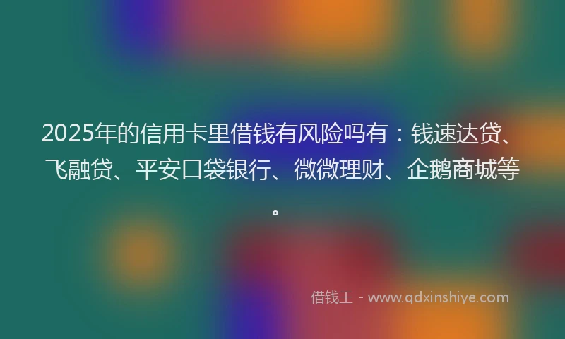 2025年的信用卡里借钱有风险吗有：钱速达贷、飞融贷、平安口袋银行、微微理财、企鹅商城等。
