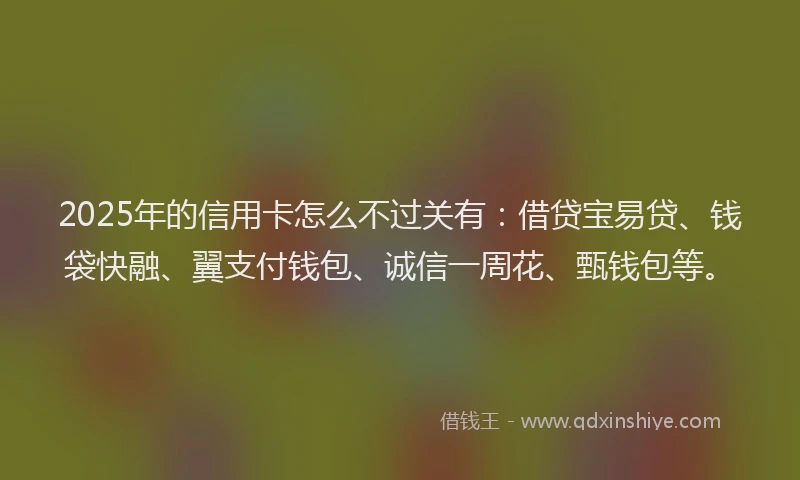 2025年的信用卡怎么不过关有：借贷宝易贷、钱袋快融、翼支付钱包、诚信一周花、甄钱包等。