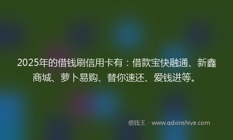 2025年的借钱刷信用卡有：借款宝快融通、新鑫商城、萝卜易购、替你速还、爱钱进等。
