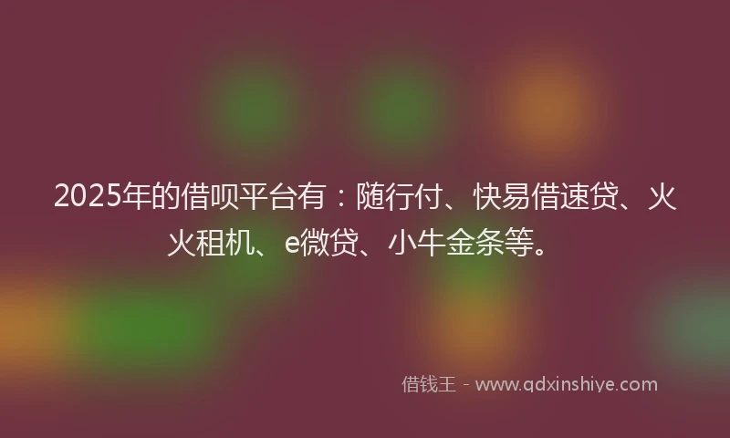 2025年的借呗平台有：随行付、快易借速贷、火火租机、e微贷、小牛金条等。