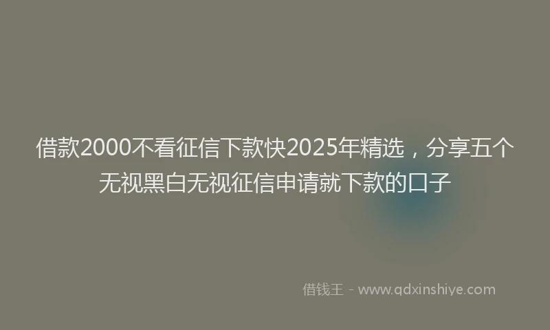 借款2000不看征信下款快2025年精选，分享五个无视黑白无视征信申请就下款的口子