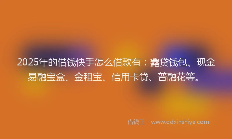 2025年的借钱快手怎么借款有：鑫贷钱包、现金易融宝盒、金租宝、信用卡贷、普融花等。
