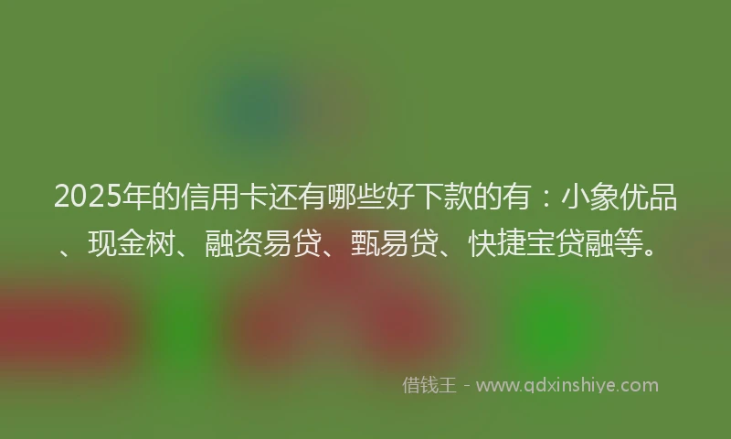 2025年的信用卡还有哪些好下款的有：小象优品、现金树、融资易贷、甄易贷、快捷宝贷融等。