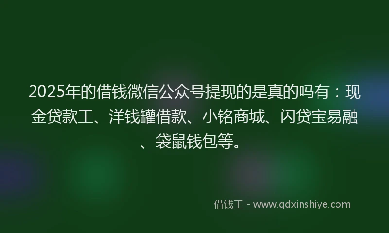 2025年的借钱微信公众号提现的是真的吗有：现金贷款王、洋钱罐借款、小铭商城、闪贷宝易融、袋鼠钱包等。