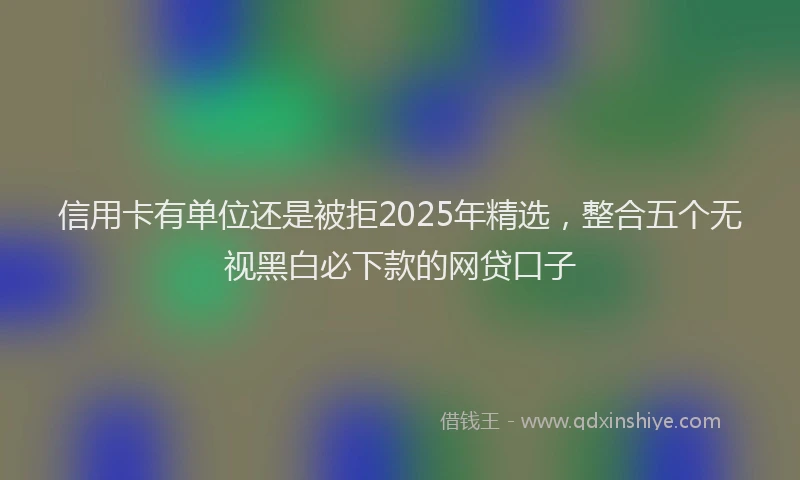 信用卡有单位还是被拒2025年精选，整合五个无视黑白必下款的网贷口子