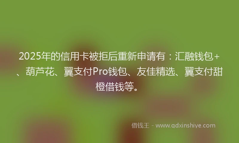2025年的信用卡被拒后重新申请有：汇融钱包+、葫芦花、翼支付Pro钱包、友佳精选、翼支付甜橙借钱等。