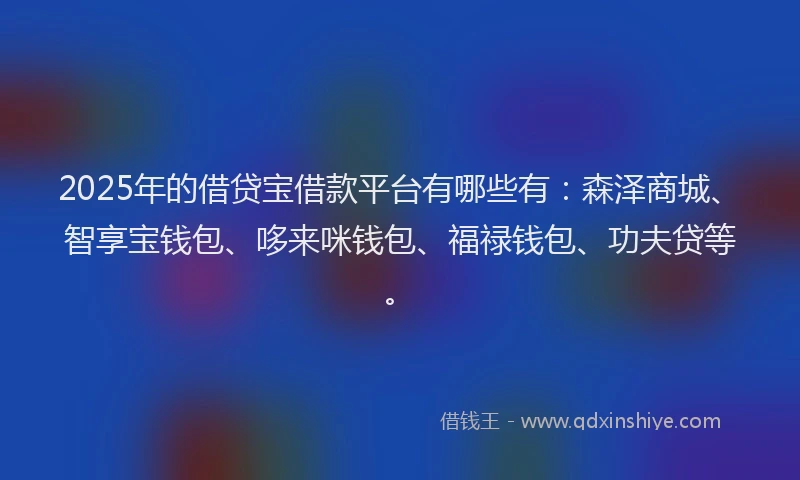 2025年的借贷宝借款平台有哪些有：森泽商城、智享宝钱包、哆来咪钱包、福禄钱包、功夫贷等。