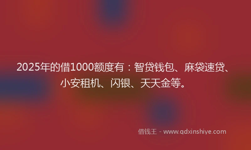 2025年的借1000额度有：智贷钱包、麻袋速贷、小安租机、闪银、天天金等。