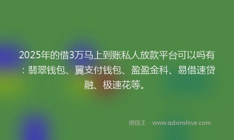 2025年的借3万马上到账私人放款平台可以吗有：翡翠钱包、翼支付钱包、盈盈金科、易借速贷融、极速花等。
