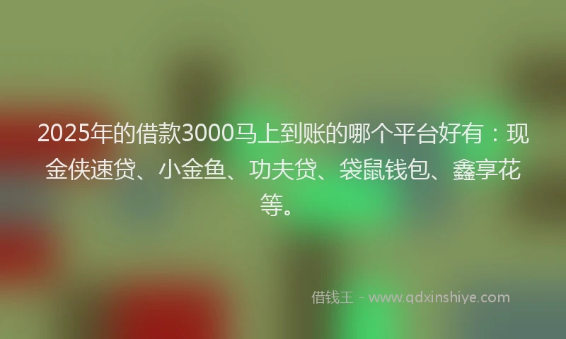 2025年的借款3000马上到账的哪个平台好有：现金侠速贷、小金鱼、功夫贷、袋鼠钱包、鑫享花等。