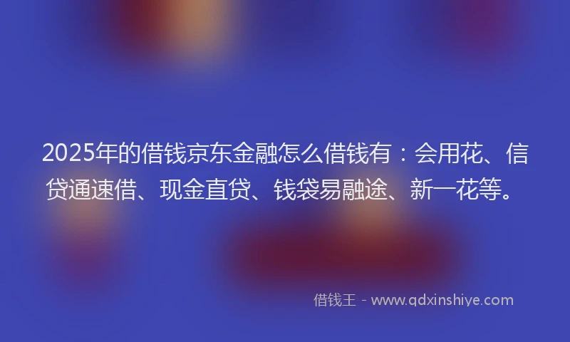 2025年的借钱京东金融怎么借钱有：会用花、信贷通速借、现金直贷、钱袋易融途、新一花等。