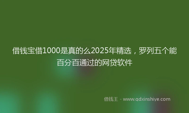 借钱宝借1000是真的么2025年精选，罗列五个能百分百通过的网贷软件