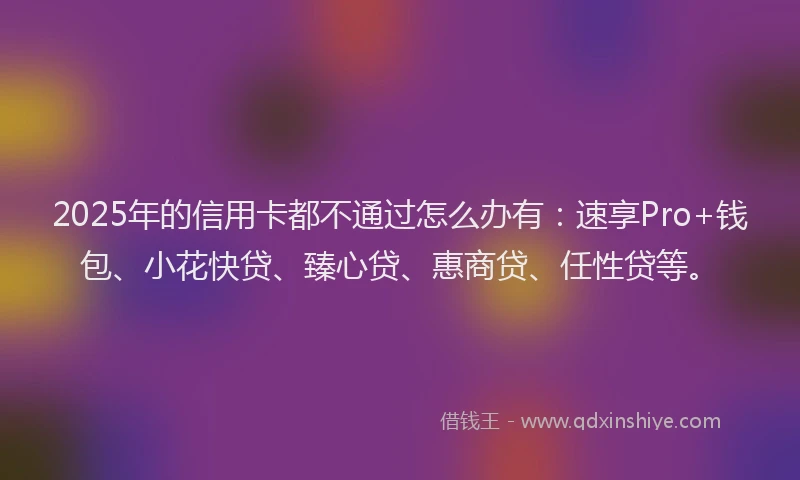 2025年的信用卡都不通过怎么办有：速享Pro+钱包、小花快贷、臻心贷、惠商贷、任性贷等。