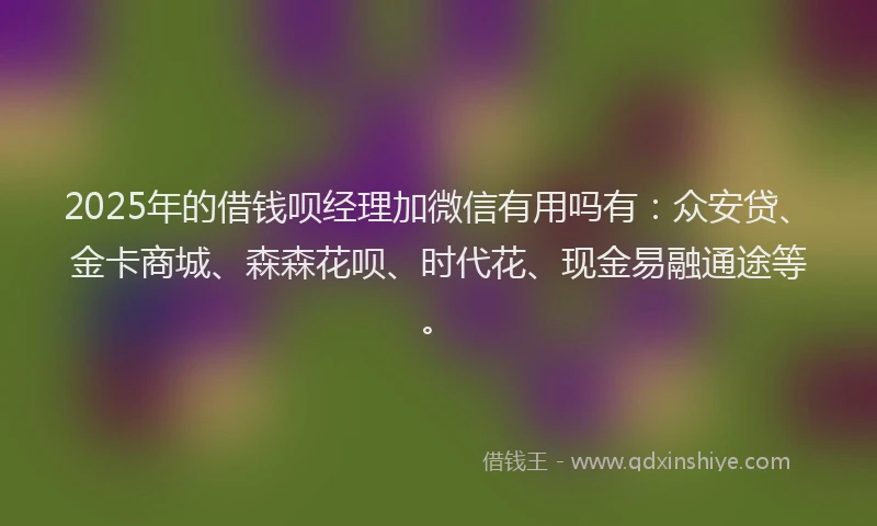 2025年的借钱呗经理加微信有用吗有：众安贷、金卡商城、森森花呗、时代花、现金易融通途等。