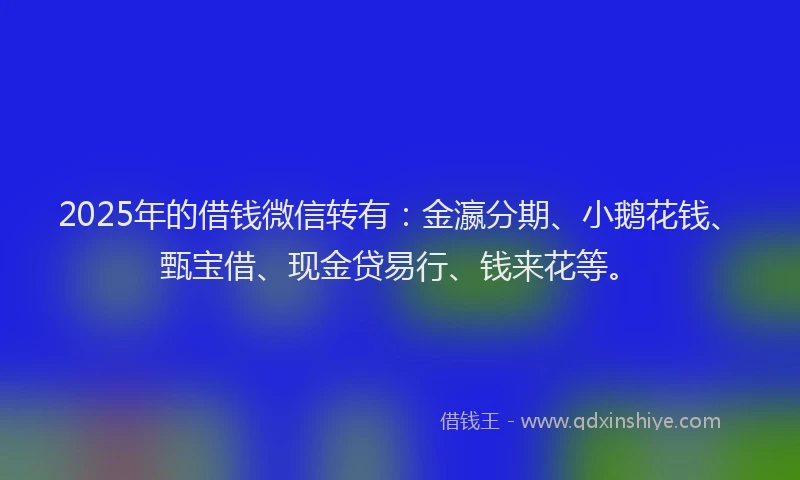2025年的借钱微信转有：金瀛分期、小鹅花钱、甄宝借、现金贷易行、钱来花等。