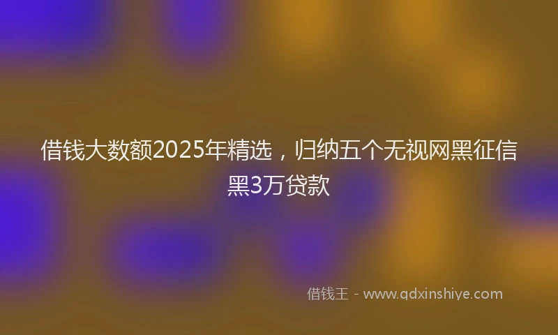 借钱大数额2025年精选，归纳五个无视网黑征信黑3万贷款