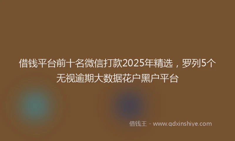 借钱平台前十名微信打款2025年精选，罗列5个无视逾期大数据花户黑户平台