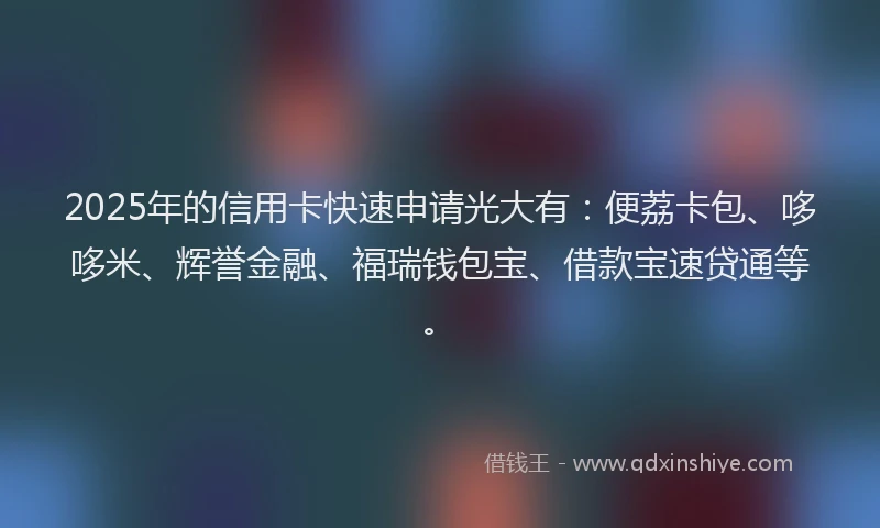 2025年的信用卡快速申请光大有：便荔卡包、哆哆米、辉誉金融、福瑞钱包宝、借款宝速贷通等。