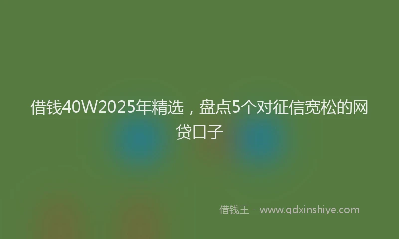 借钱40W2025年精选，盘点5个对征信宽松的网贷口子