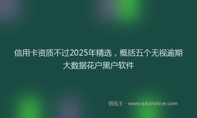 信用卡资质不过2025年精选，概括五个无视逾期大数据花户黑户软件