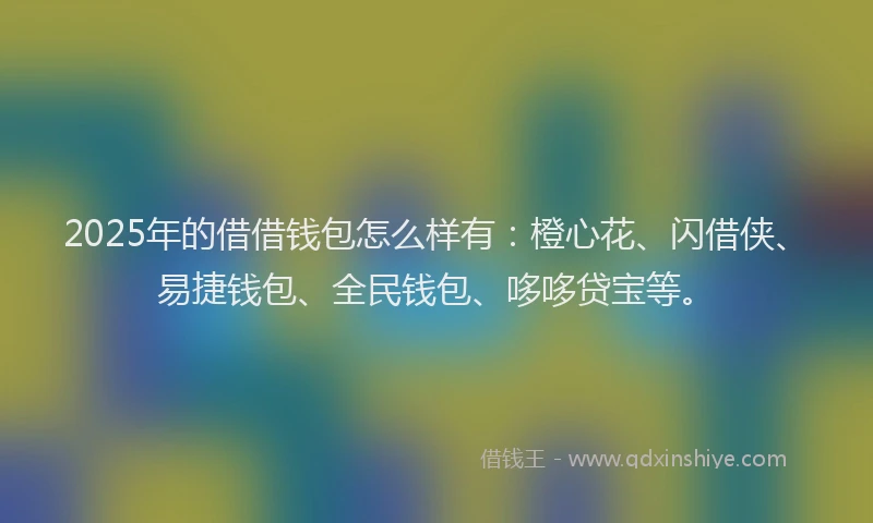 2025年的借借钱包怎么样有：橙心花、闪借侠、易捷钱包、全民钱包、哆哆贷宝等。