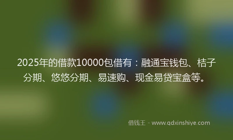 2025年的借款10000包借有：融通宝钱包、桔子分期、悠悠分期、易速购、现金易贷宝盒等。
