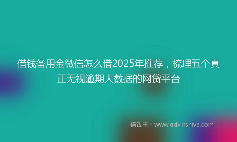 借钱备用金微信怎么借2025年推荐，梳理五个真正无视逾期大数据的网贷平台